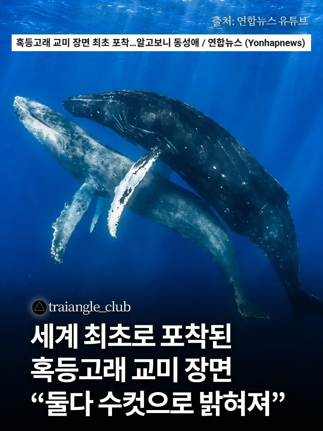 sun_kr_DeMG974krsS_0.jpg