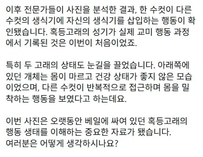 스크린샷_8-10-2026_112717_www.instagram.com.jpeg