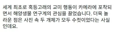 스크린샷_8-10-2026_11275_www.instagram.com.jpeg