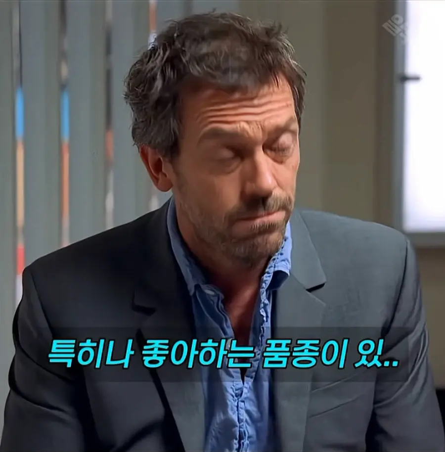 1a10ed448ee50b047.webp
