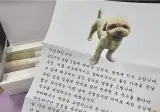 입양 보낸 강아지에게서 온 편지.jpg