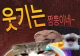 호리데이 야스미 트위터 모음 (10.09)