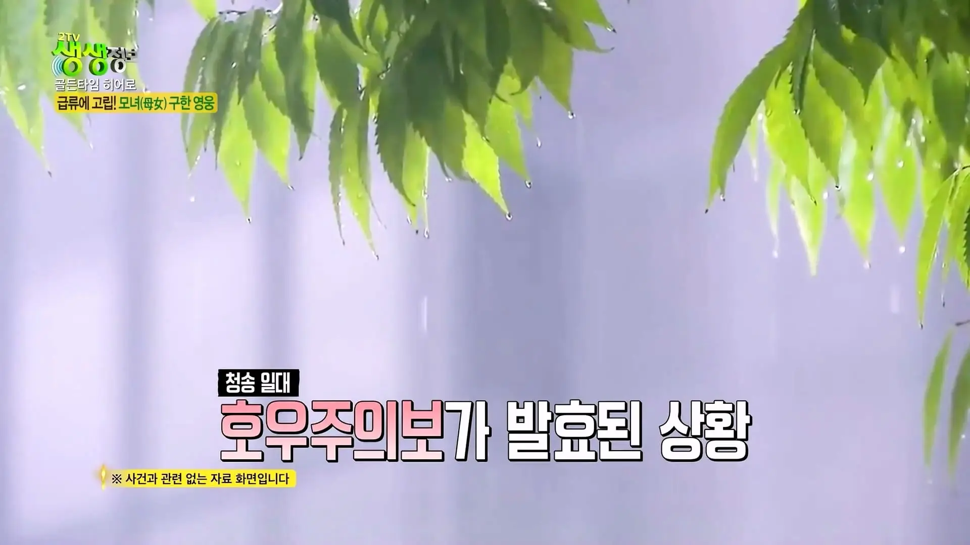 급류에 떠내려가는 승용차! 위기 속 등장한 영웅의 정체는_ [2TV 생생정보] KBS 261007 방송_20261009_102720.254.jpg