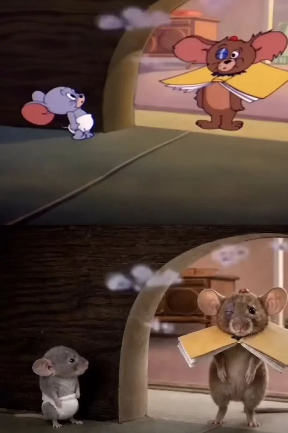Screenshot_20261007_015210_YouTube.jpg