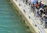 오늘자 부캉이 구경 인파 사진