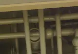 실시간 ] 스타벅스인데 천장에서 뭔가 떨어질가같음