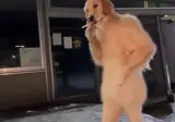 램값 상승의 요인.mp4