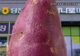 요즘 하나로마트 광고 근황