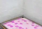잘 때 모기물리는 사람을 위한 침대.gif