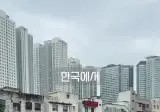 테슬라 모델Y 판매량 근황