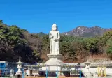 오늘자 사찰 축제 수준 ㄷㄷㄷㄷㄷ