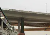 장원영 F1.jpg