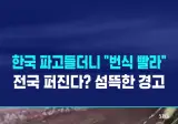부산 바퀴벌레 근황