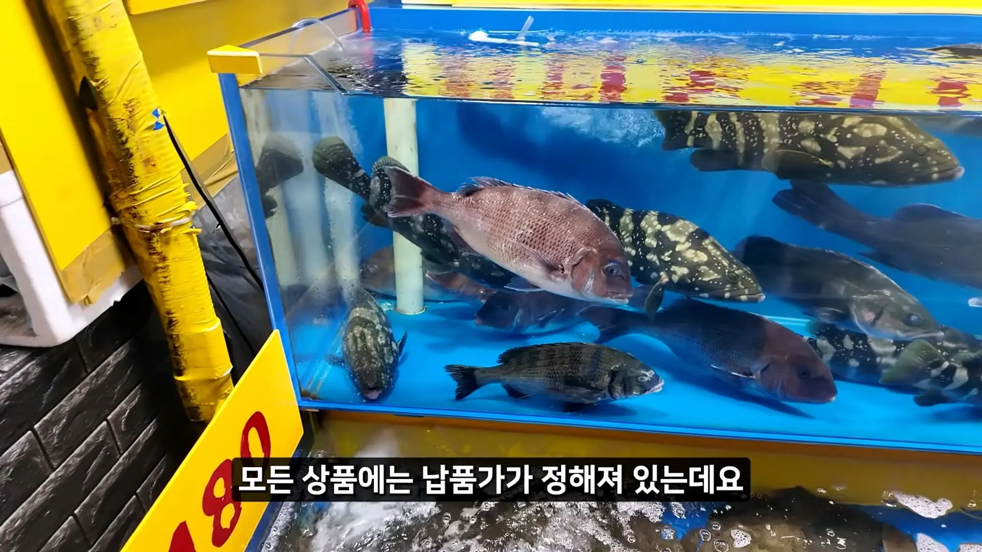 정직한 줄 알았지_ 소래포구 종합어시장 근황_20261012_213655.901.jpg