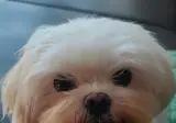 저랑 친하다고 생각하는 사람 계신가요?