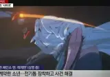 의외로 만화영화 한줄요약 잘하는 사람들