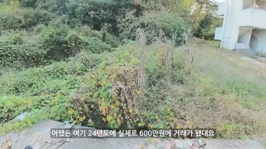 사람과 귀신이 함께 산다 36번 국도 옆 미스터리 아파트의 정체.mp4_20261014_105653.976.jpg