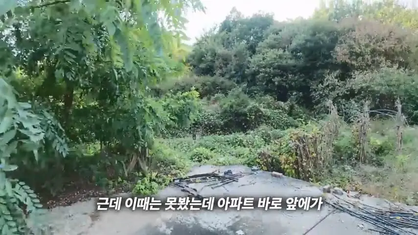 사람과 귀신이 함께 산다 36번 국도 옆 미스터리 아파트의 정체.mp4_20261014_105644.384.jpg