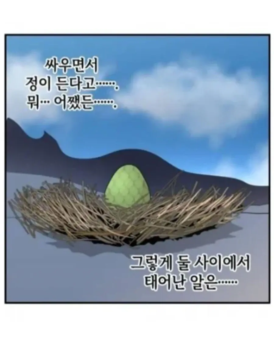 1a13878a7e5596ddd.webp