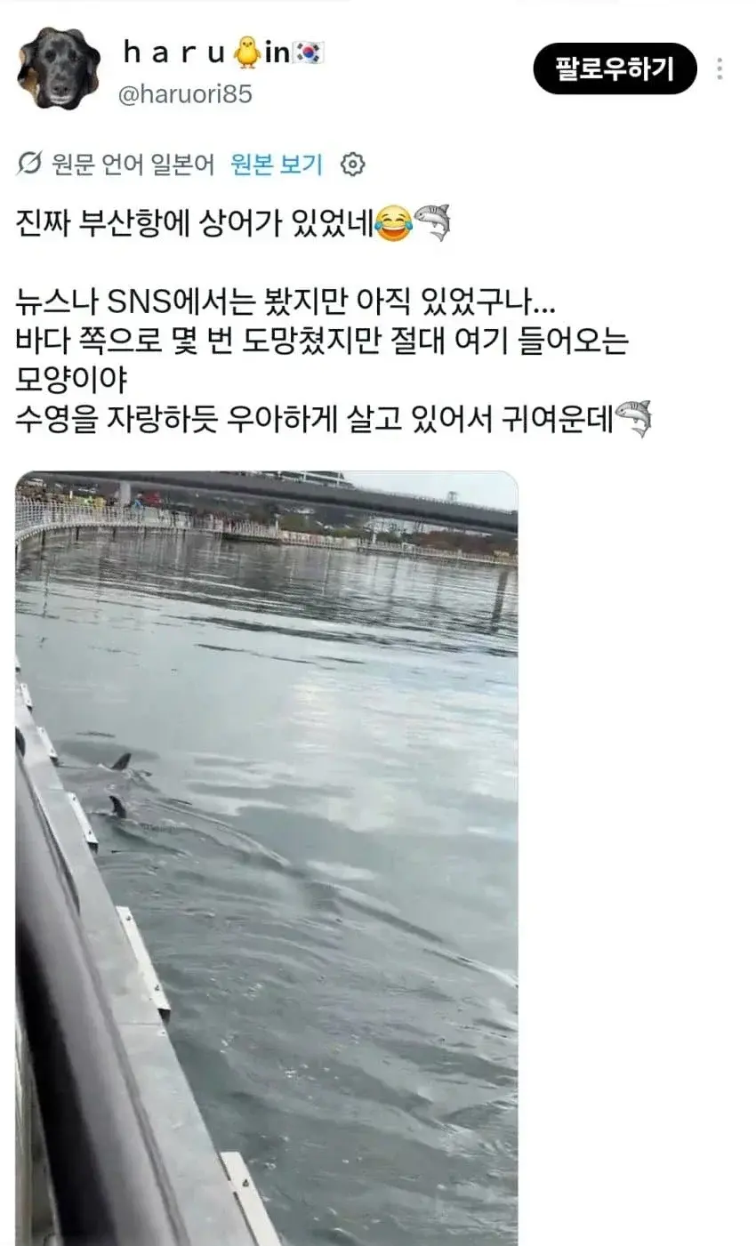 20261014211003_GB1o1XpHfj.webp