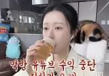 먹방 유튜버 수익 중단 오해와 진실.jpg