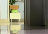 고양이 키우는 사람들이 제일 좋아하는 순간