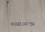 해외 영상 검증하다가 머리만 더 아파진 유튜버