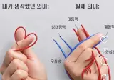 손가락 하트의 진짜 의미.jpg