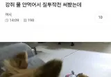 강쥐 물 안먹어서 질투작전 써봤는데.jpg