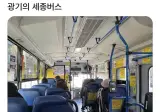 광기의 세종버스.jpg