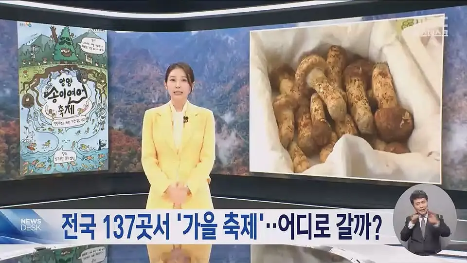 '빵지순례' 어디에서 할까‥빵의 도시들 '빵 축제' 개막.mp4_20261017_231825.463.jpg