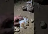 이거 어떤 상황인지 이해 가능하신분?