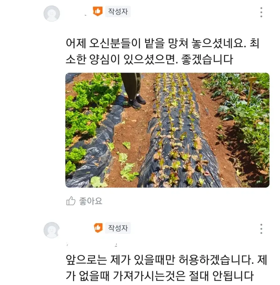 20261017213252_mZ7OJgacxp.webp