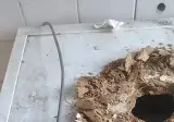 최근 화제가 된 세탁기 사진