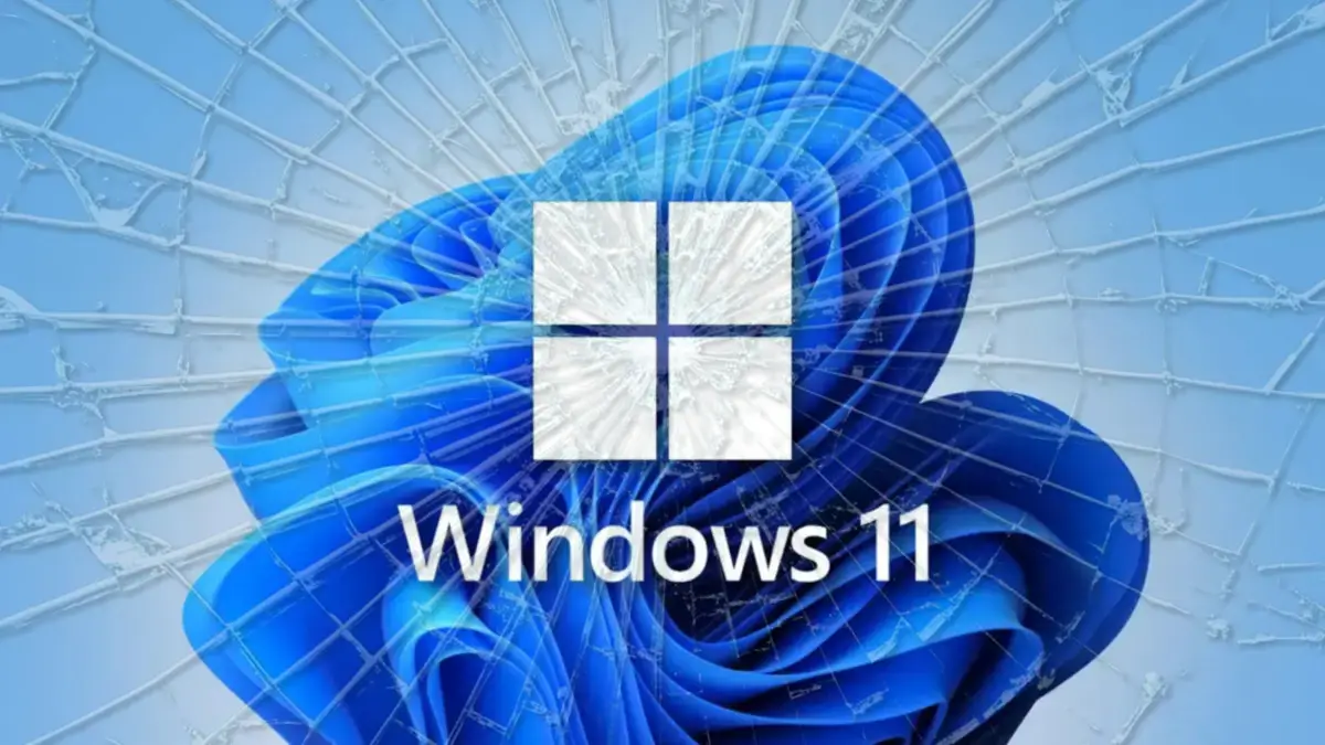 92fad447d1674703f6be9b0b05b17a66.webp