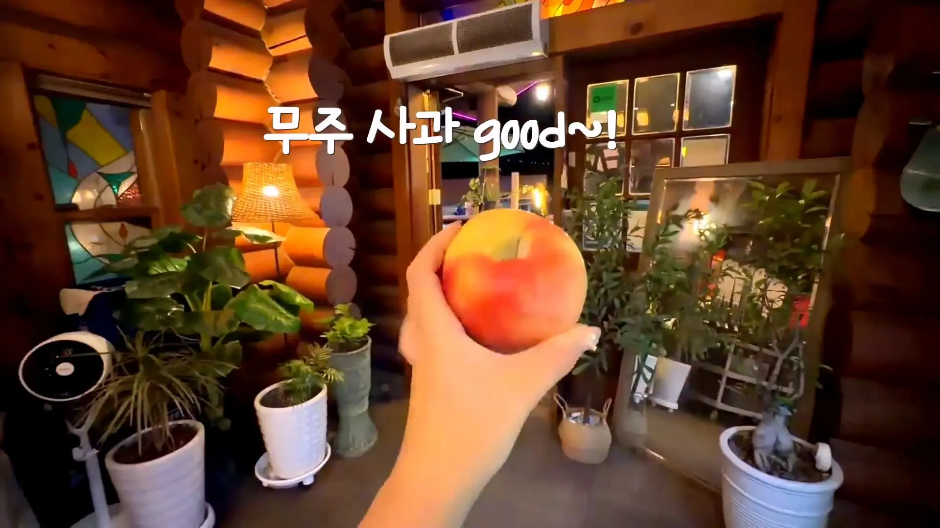 한국 고깃집 사장님은 나한테 충격을 줬어_20261019_005428.134.jpg
