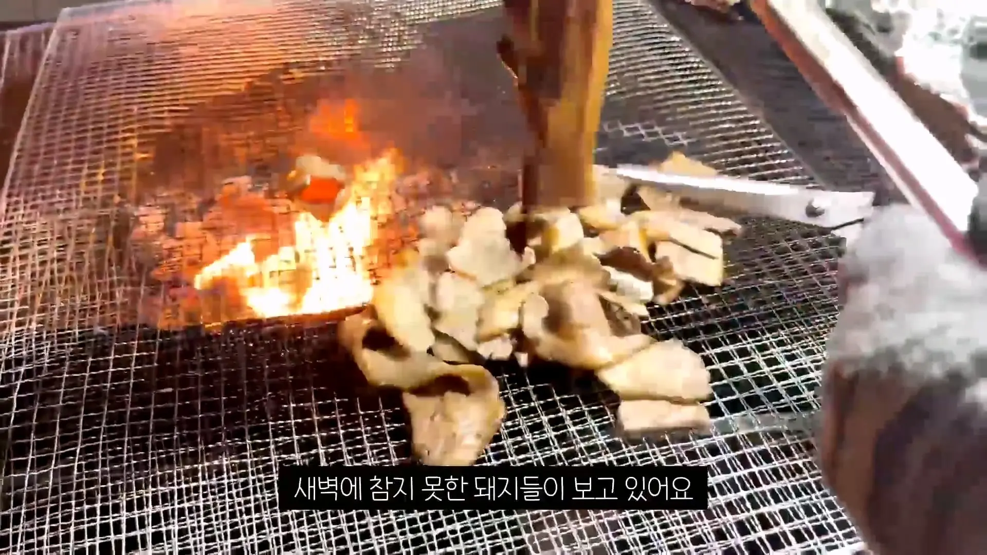한국 고깃집 사장님은 나한테 충격을 줬어_20261019_004635.098.jpg