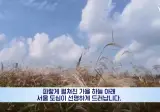 요즘 중국 미세먼지가 줄어든 이유