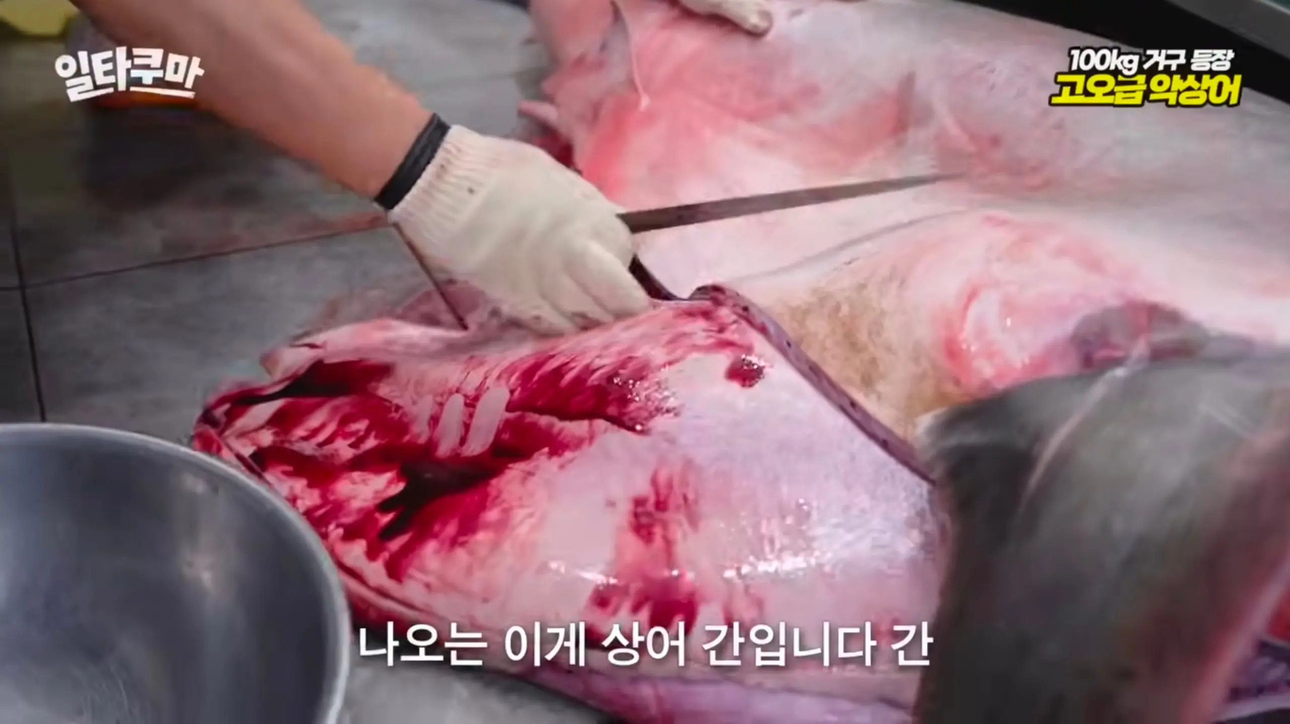 Screenshot_20261020_161924_YouTube.jpg