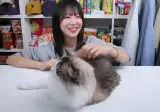 개오랜만에 라이브 방송키고 고양이 자랑하다가 대참사난 쯔양