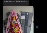 보고도 믿기지 않는 사진