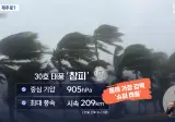 '참피' 우리나라로?