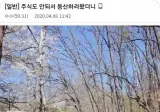 주식도 안되서 등산하러 왔더니.jpg
