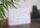 읍내가 뭔지 궁금한 피프티피프티 문샤넬