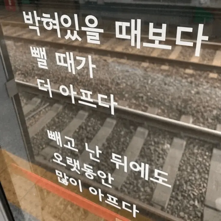 1792587277.png
