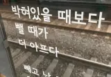 제목 : 애널플러그