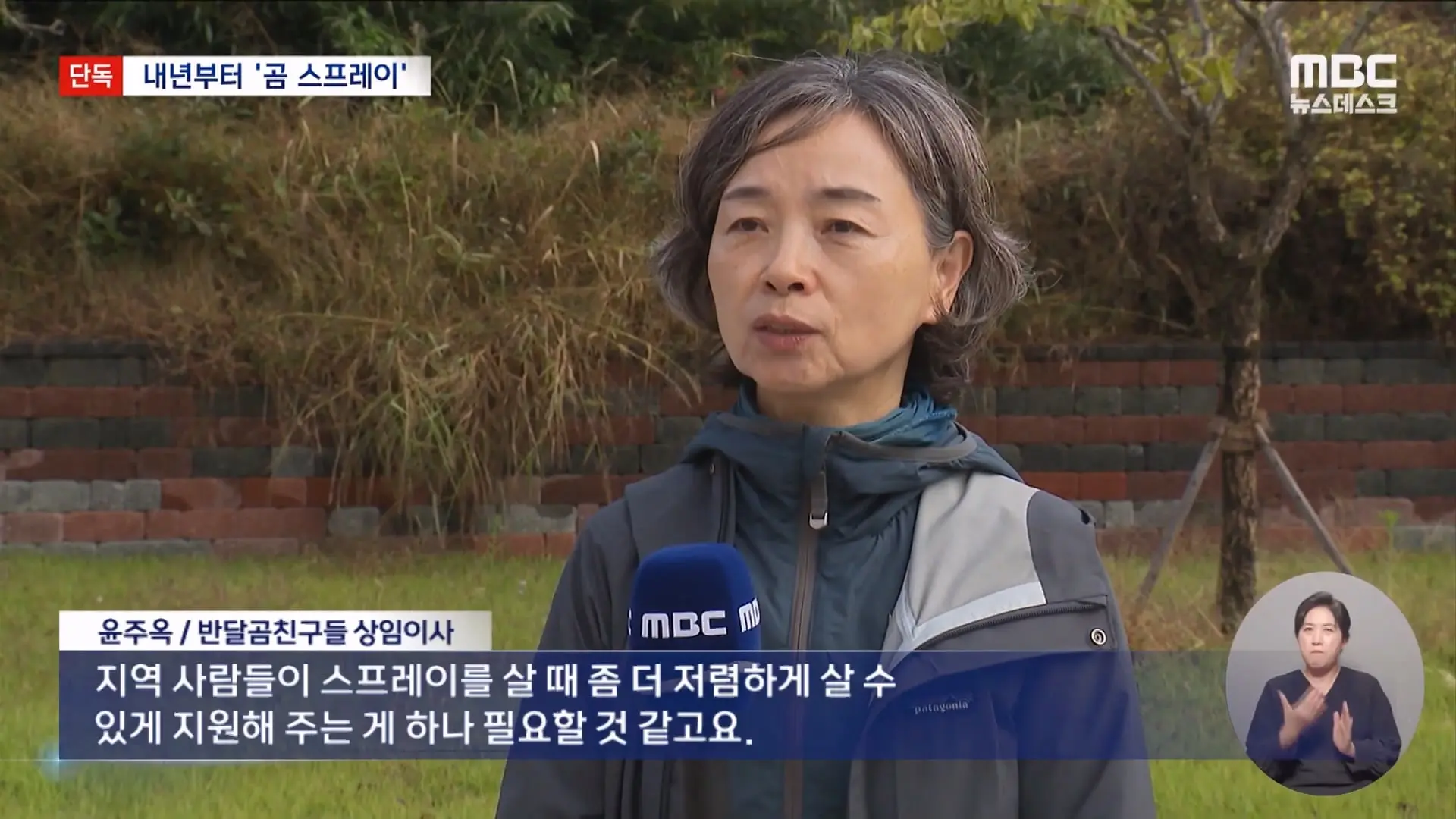 [단독] 지리산 반달곰 100마리 시대‥내년부터 '곰 스프레이' 도입 (2026.10.22 뉴스데스크 MBC).mp4_20261023_014446.806.jpg