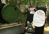 사람들이 잘 모르는 반달곰 복원 이유