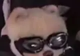 오토바이 헬멧 단속에 걸린 현장 상황