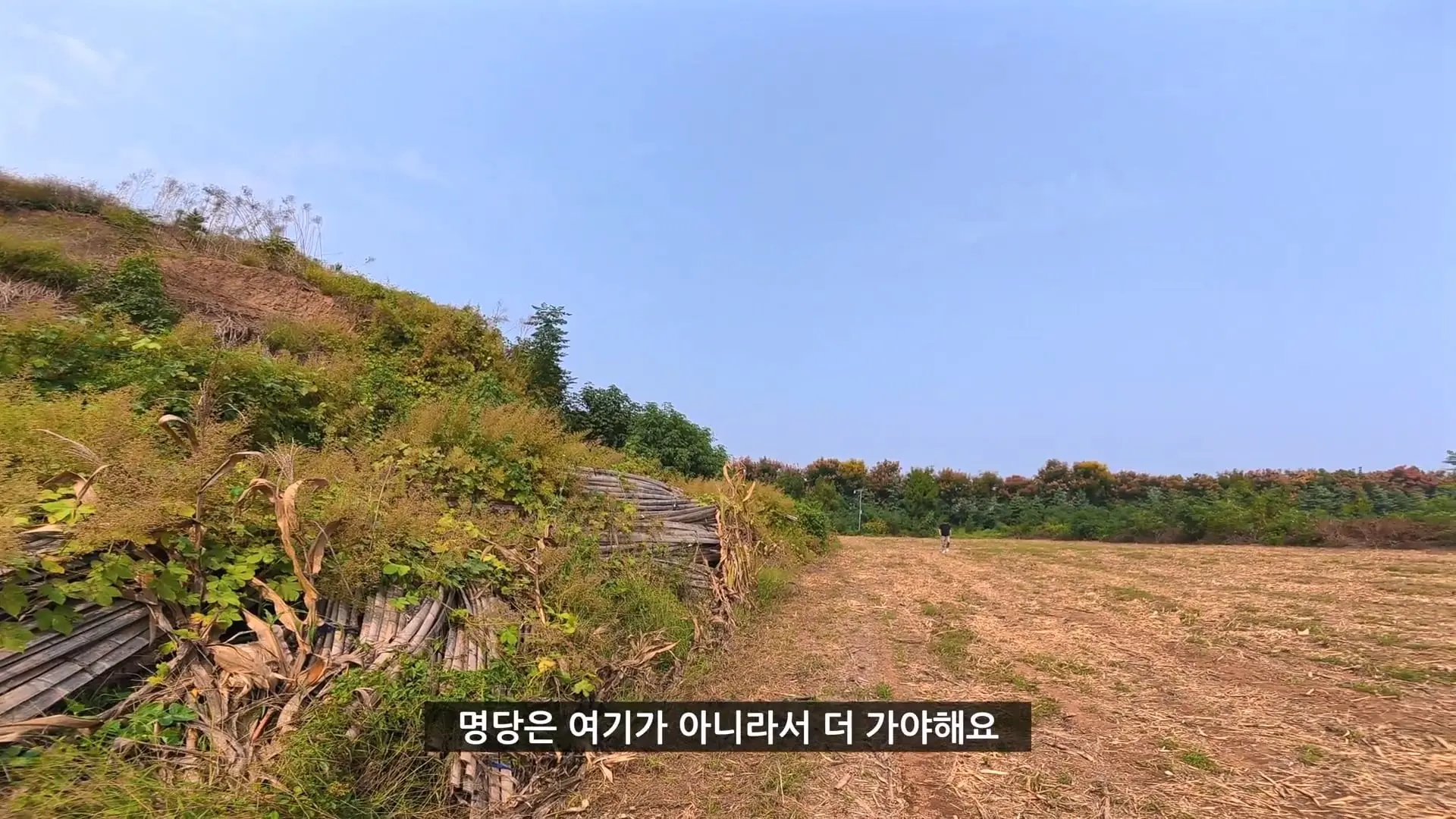 위명제 조예, 위나라의 정통성을 다진 숨겨진 성군ㅣ위진시대 예제 1편.mp4_20261024_141636.553.jpg